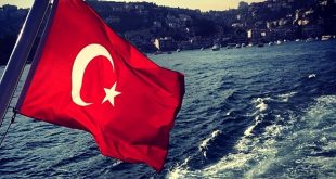 17 ülkeden Türkiye'de yatırım kararı! Toplam 52 proje hayata geçecek