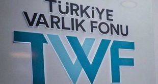 Türkiye Varlık Fonu Eurobond işlemini erteledi