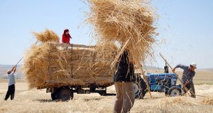 356 bin 683 çiftçi tarım kredi kooperatiflerinden kredi kullandı, binde 2’si icralık oldu