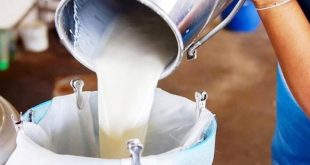 Çiğ süte yüzde 33 zam! Süt ve süt ürünlerinde fiyat artışı kapıda
