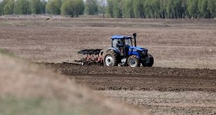 Gübre fiyatları yüzde 342 arttı, çiftçi eskisi kadar gübre atamadı