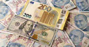 Dolar ve euro TL karşısında yılın en yüksek seviyesini gördü!