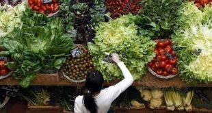 Küresel gıda fiyatlarındaki gerileme sürüyor