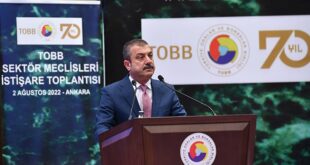 Şahap Kavcıoğlu'ndan 'kredi' açıklaması