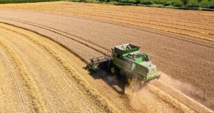 Tarım-ÜFE yıllık yüzde 157,89 arttı!